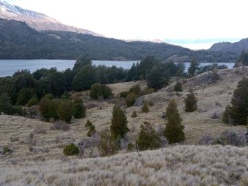 VENDO 40 HECTÁREAS CON ORILLA DE LAGO NEGRO, COMUNA DE RIO IBÁÑEZ, REGIÓN DE AYSEN
