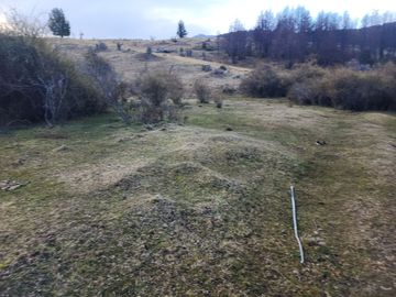 VENDO 40 HECTÁREAS CON ORILLA DE LAGO NEGRO, COMUNA DE RIO IBÁÑEZ, REGIÓN DE AYSEN