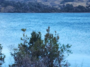 VENDO 40 HECTÁREAS CON ORILLA DE LAGO NEGRO, COMUNA DE RIO IBÁÑEZ, REGIÓN DE AYSEN