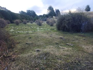 VENDO 40 HECTÁREAS CON ORILLA DE LAGO NEGRO, COMUNA DE RIO IBÁÑEZ, REGIÓN DE AYSEN