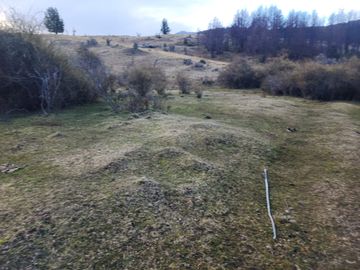 VENDO 40 HECTÁREAS CON ORILLA DE LAGO NEGRO, COMUNA DE RIO IBÁÑEZ, REGIÓN DE AYSEN