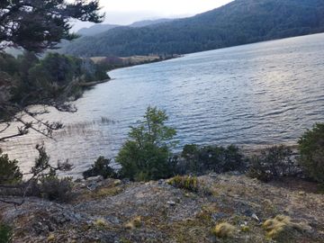 VENDO 40 HECTÁREAS CON ORILLA DE LAGO NEGRO, COMUNA DE RIO IBÁÑEZ, REGIÓN DE AYSEN