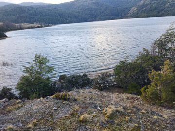 VENDO 40 HECTÁREAS CON ORILLA DE LAGO NEGRO, COMUNA DE RIO IBÁÑEZ, REGIÓN DE AYSEN