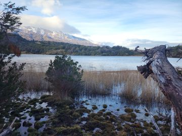 VENDO 40 HECTÁREAS CON ORILLA DE LAGO NEGRO, COMUNA DE RIO IBÁÑEZ, REGIÓN DE AYSEN