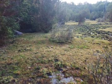 VENDO 40 HECTÁREAS CON ORILLA DE LAGO NEGRO, COMUNA DE RIO IBÁÑEZ, REGIÓN DE AYSEN