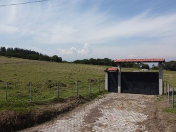 EN VENTA TERRENO SECTOR PIFO (TUMBACO)