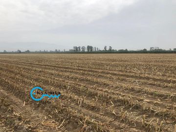 SE VENDE TERRENO EN CAÑETE – SECTOR SAN ISIDRO
