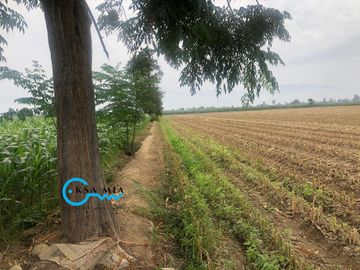 SE VENDE TERRENO EN CAÑETE – SECTOR SAN ISIDRO
