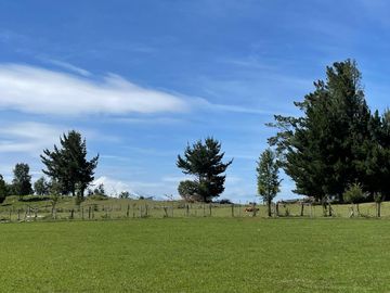 Hermosa Parcela Sector Villa Alegre 20 minutos de Villarrica