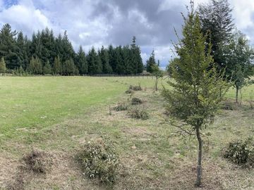 Hermosa Parcela Sector Villa Alegre 20 minutos de Villarrica