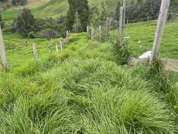 Venta Finca en Entrerrios Antioquia