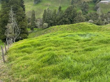 Venta Finca en Entrerrios Antioquia