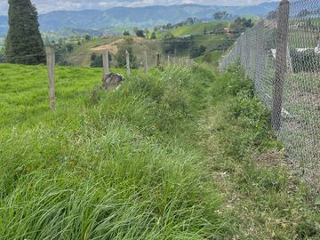 Venta Finca en Entrerrios Antioquia