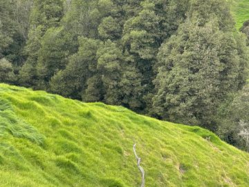 Venta Finca en Entrerrios Antioquia