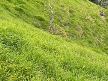 Venta Finca en Entrerrios Antioquia