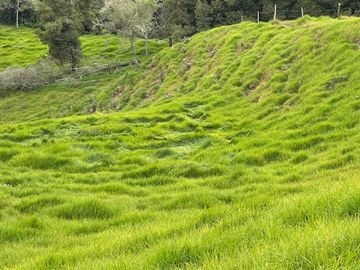 Venta Finca en Entrerrios Antioquia