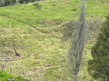 Venta Finca en Entrerrios Antioquia