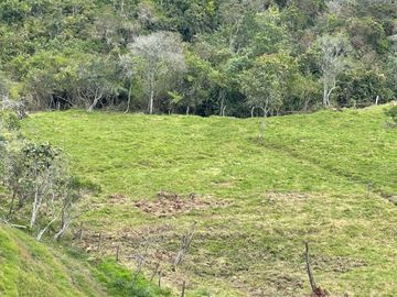 Venta Finca en Entrerrios Antioquia