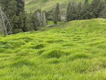 Venta Finca en Entrerrios Antioquia