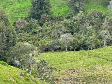 Venta Finca en Entrerrios Antioquia