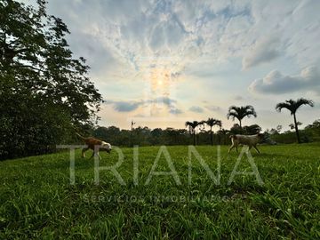FINCA EN VENTA SAN GABRIEL DEL BABA - SANTO DOMINGO