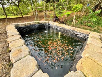 FINCA EN VENTA SAN GABRIEL DEL BABA - SANTO DOMINGO