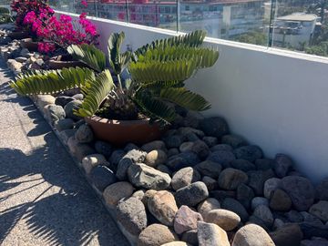 Departamento en venta en Puertarena, Nuevo Nayarit.