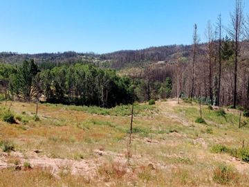 Terreno Comuna Santa Juana