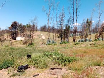 Terreno Comuna Santa Juana