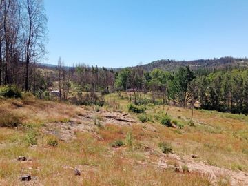 Terreno Comuna Santa Juana