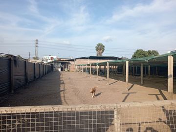 TERRENO DE 2,000 M2. EN LURIN