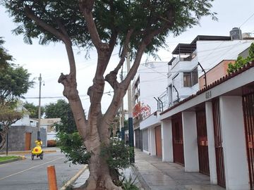 Venta De Departamento En Primer Piso Urb.La Aurora Surco