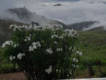 Vendo finca en Dagua, Valle