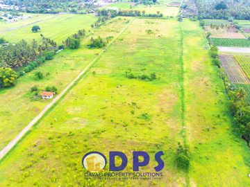 Soon to Rise Carmelina Heights Barangay Katangawan General Santos City