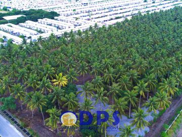 Soon to Rise in Conel Road Barangay San Isidro General Santos City | Carmelina Estates