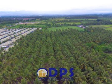 Soon to Rise in Conel Road Barangay San Isidro General Santos City | Carmelina Estates