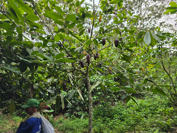 venta / permuta finca Dagua
