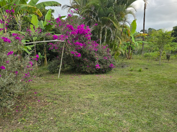 venta / permuta finca Dagua