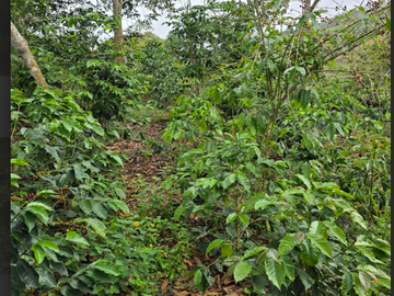 venta / permuta finca Dagua