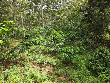 venta / permuta finca Dagua