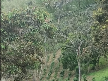 venta / permuta finca Dagua