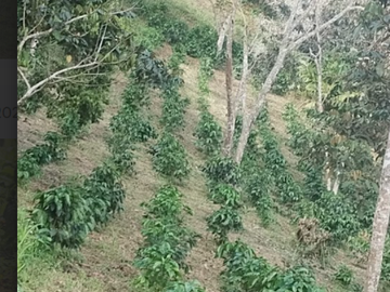 venta / permuta finca Dagua