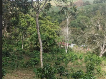 venta / permuta finca Dagua