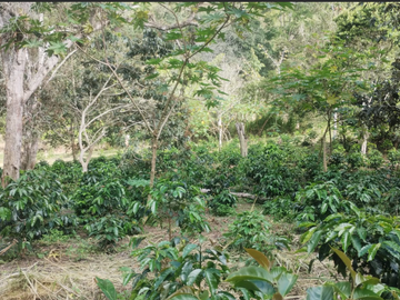 venta / permuta finca Dagua