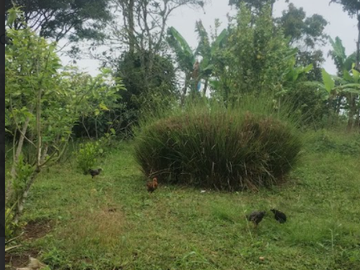 venta / permuta finca Dagua