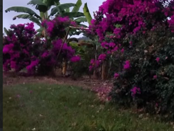 venta / permuta finca Dagua