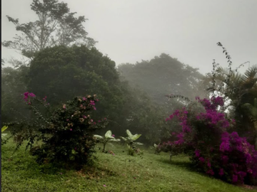 venta / permuta finca Dagua