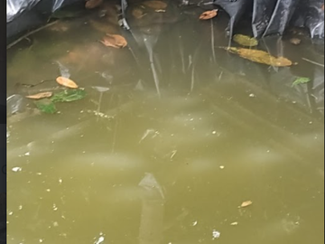 venta / permuta finca Dagua