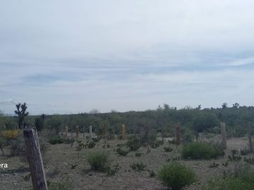 LOS VILLARREAL. SALINAS VICTORIA, NL