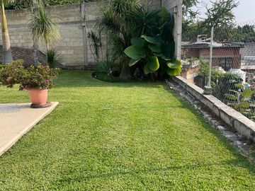 Alta Palmira